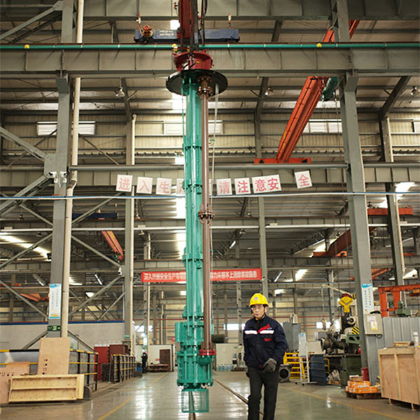 Model-YL VerticalDouble-stages Long Shaf